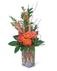 Captivating Coral from Schultz Florists, flower delivery in Chicago
