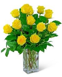 Yellow Roses (12) from Schultz Florists, flower delivery in Chicago