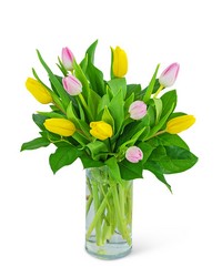 Strawberry Lemonade Tulips from Schultz Florists, flower delivery in Chicago