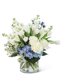 Breath of Fresh Air from Schultz Florists, flower delivery in Chicago