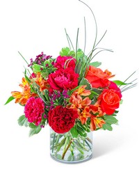 Mango Tango from Schultz Florists, flower delivery in Chicago