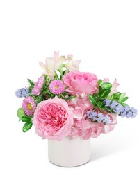 Pinky Sweet from Schultz Florists, flower delivery in Chicago