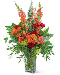 Aspen Magic from Schultz Florists, flower delivery in Chicago