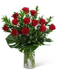 Red Roses with Modern Foliage (12) from Schultz Florists, flower delivery in Chicago