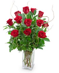 Dozen Red Roses with Willow from Schultz Florists, flower delivery in Chicago