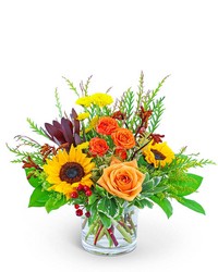 Tuscan Sun from Schultz Florists, flower delivery in Chicago