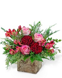 Radiant Rouge from Schultz Florists, flower delivery in Chicago