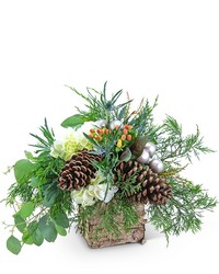 Holiday Spirit from Schultz Florists, flower delivery in Chicago
