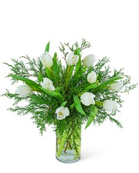 Winter White Tulips from Schultz Florists, flower delivery in Chicago