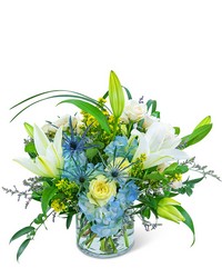 Luna Blue from Schultz Florists, flower delivery in Chicago