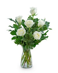 White Roses (6) from Schultz Florists, flower delivery in Chicago